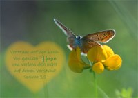 Postkarte - Herz - Sprüche 3,5